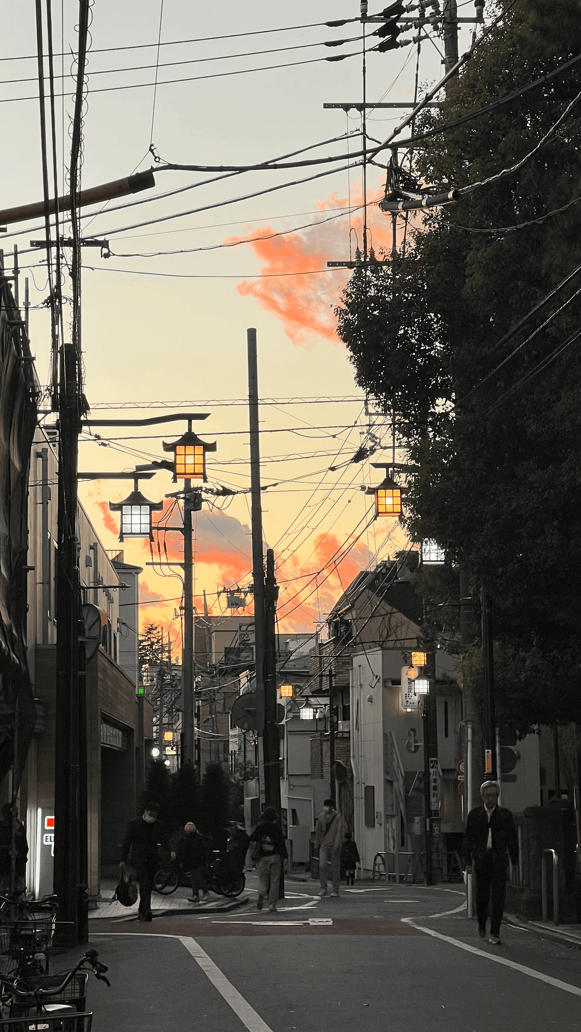 为什么说，生命最大的价值是情绪稳定？